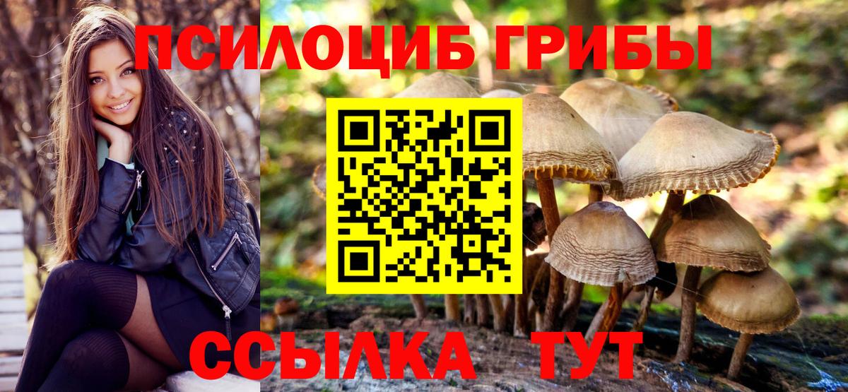 APVP Пугачёв