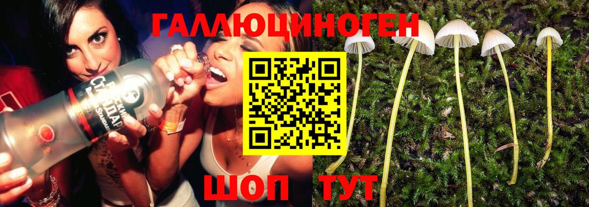 закладка  Псилоцибиновые грибы GOLDEN TEACHER  Вход с VPN  Пугачёв 