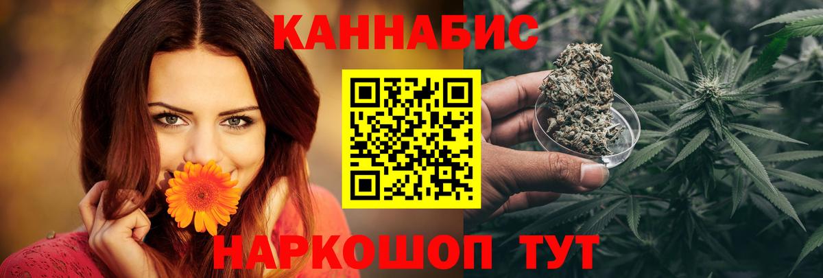 Шишки марихуана конопля Пугачёв